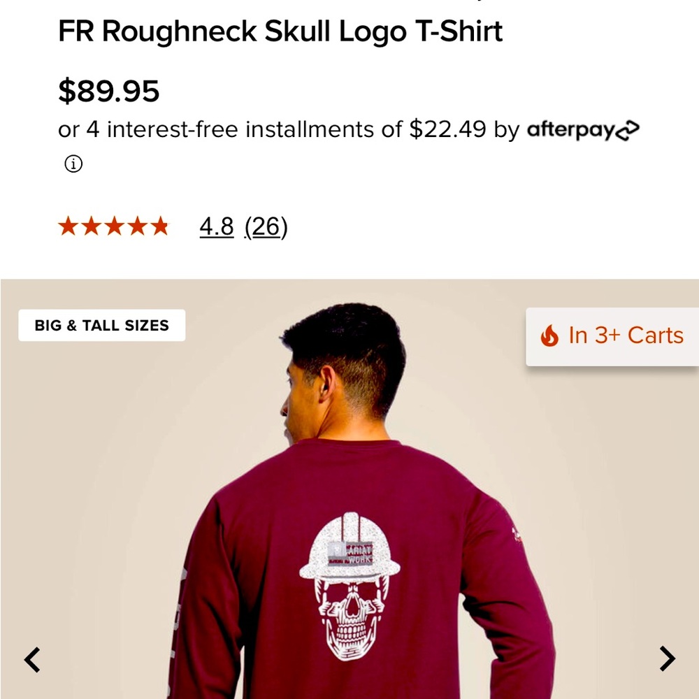 Ariat FR Roughneck Skull Logo T-Shirt